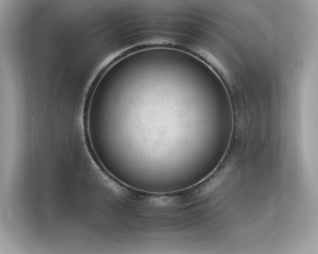 X0000112850943200908211257