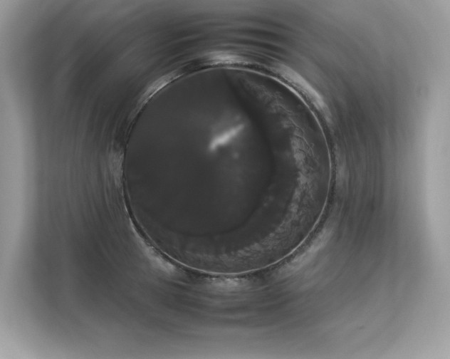 X0000112850945200908211258