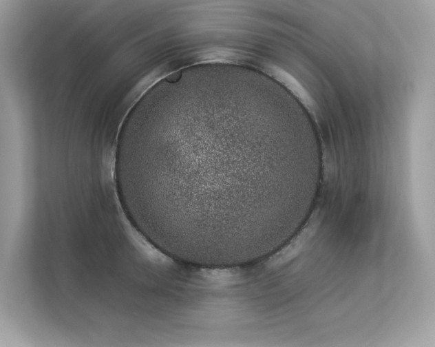 X0000112850946200908211258