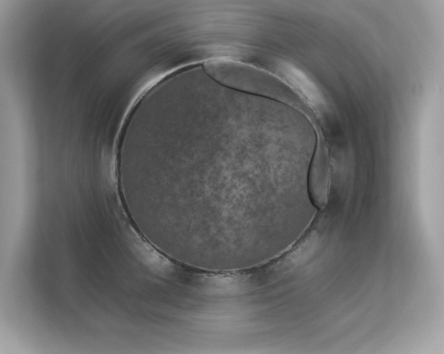 X0000112850948200908211258