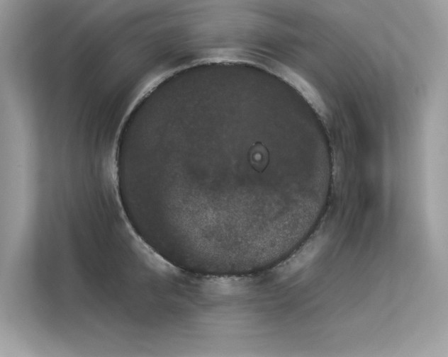 X0000112850950200908211258