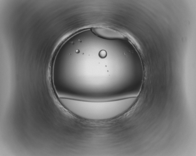 X0000112850952200908211258