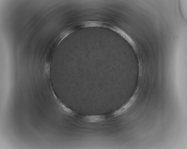 X0000112850953200908211258