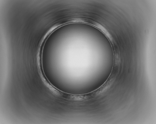 X0000112850955200908211258