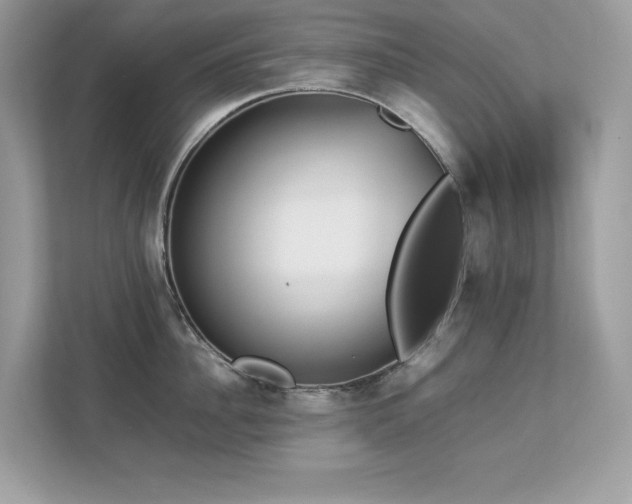 X0000112850956200908211258