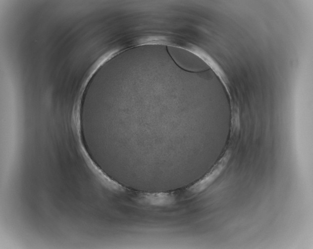 X0000112850957200908211258