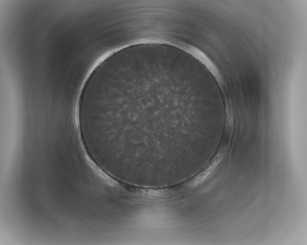 X0000112850958200908211258