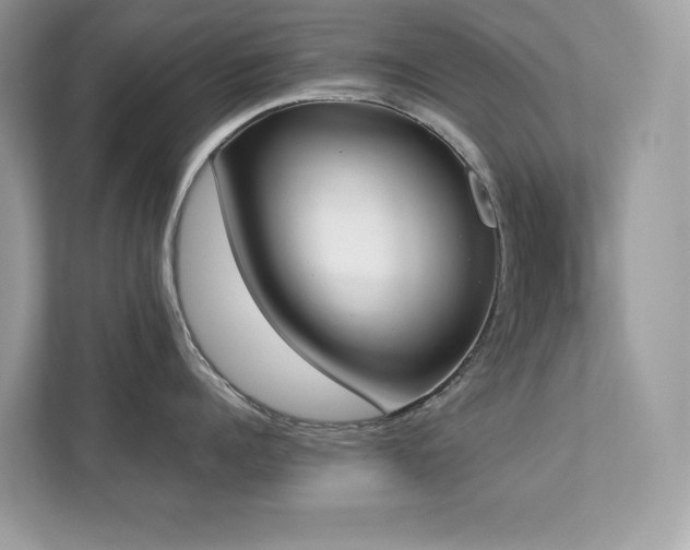 X0000112850960200908211258
