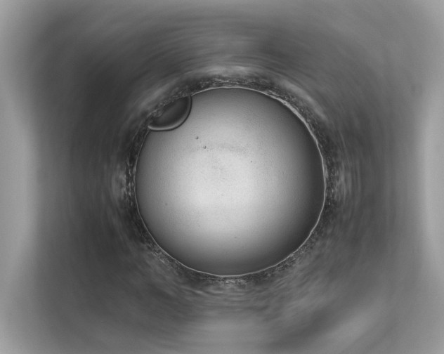 X0000112850966200908211257