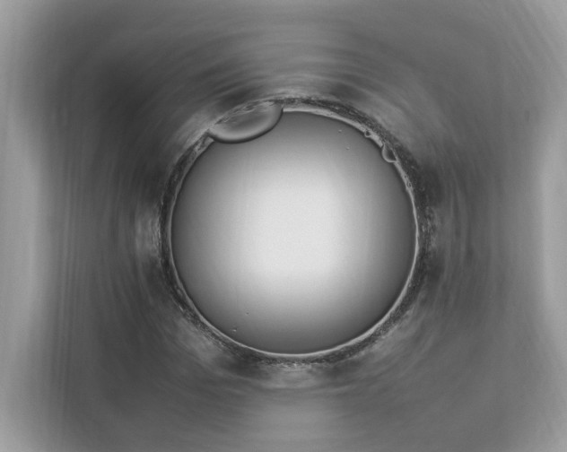 X0000112850969200908211257