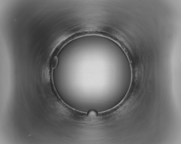 X0000112850973200908211257