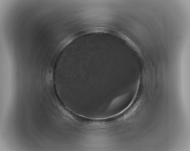 X0000112850977200908211257