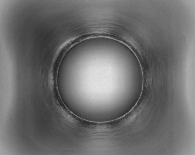 X0000112850979200908211257
