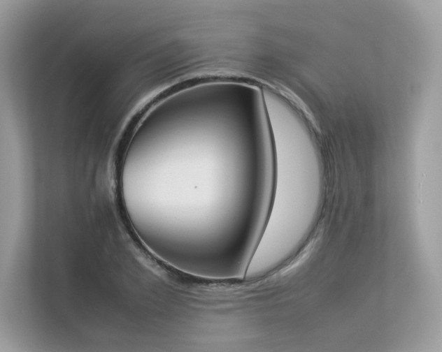 X0000112850981200908211257