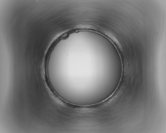 X0000112850984200908211257