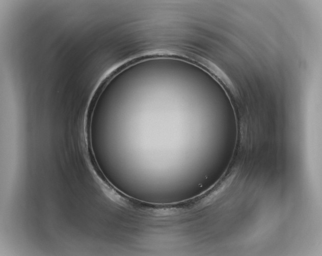 X0000112850988200908211257