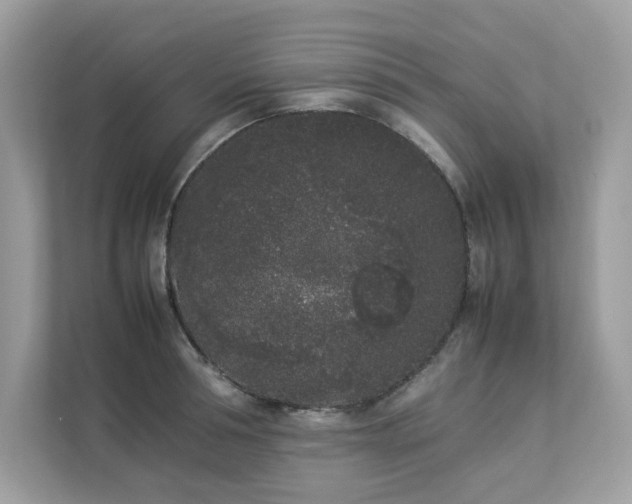 X0000112850994200908211257