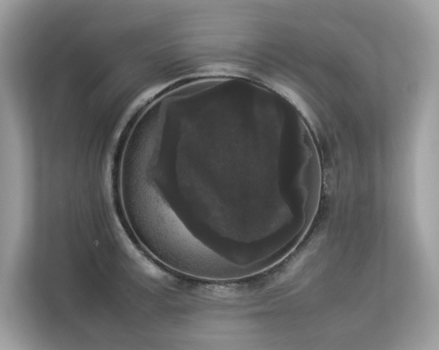 X0000112850995200908211257