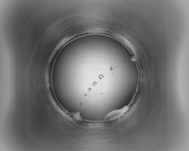 X0000112850997200908211257