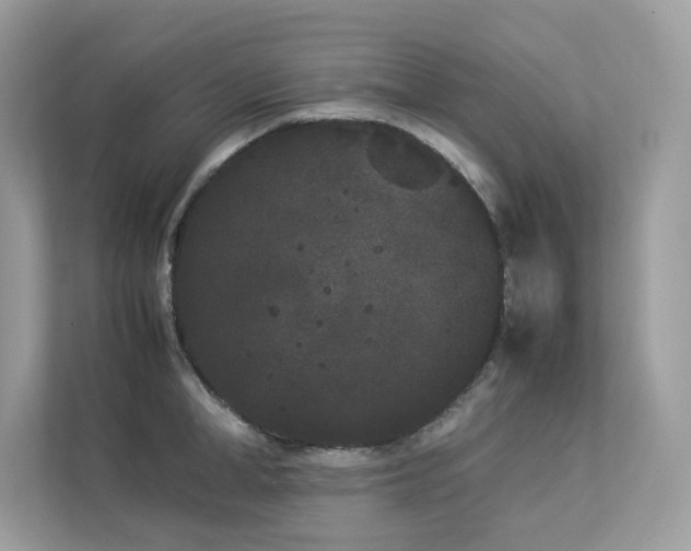 X0000112850998200908211257