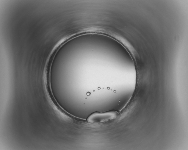 X0000112850999200908211257