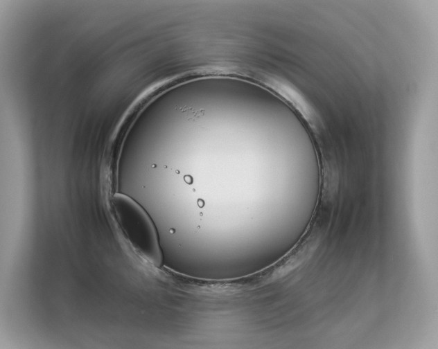 X0000112851000200908211257