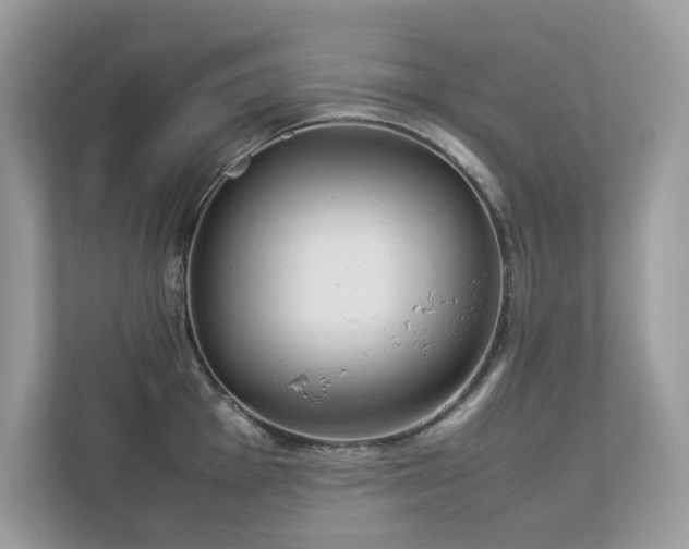 X0000112851001200908211257