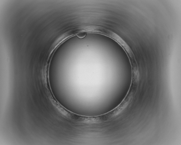 X0000112851002200908211257