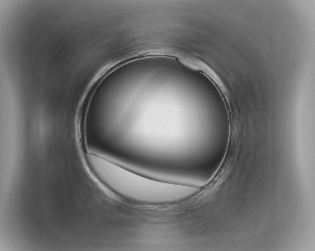 X0000112851005200908211257