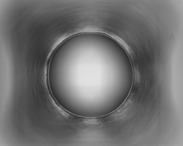 X0000112851006200908211257