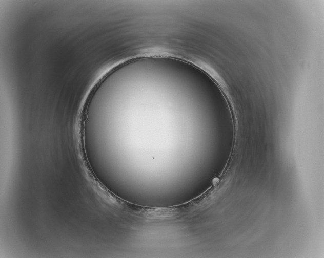 X0000112851008200908211256