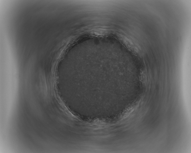 X0000112851009200908211256