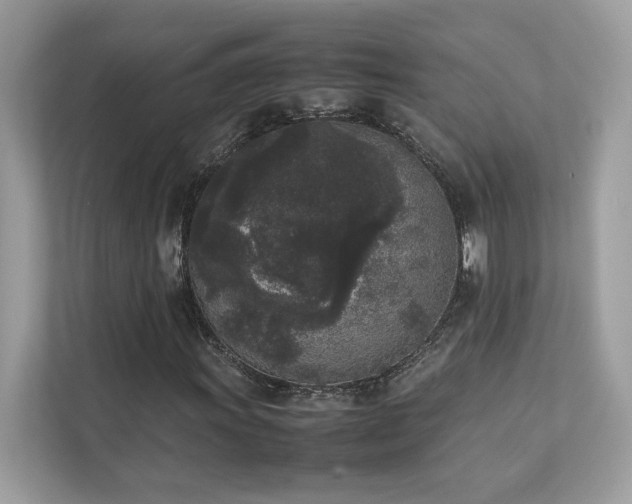 X0000112851011200908211256