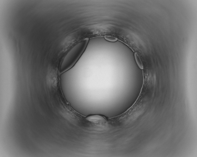 X0000112851012200908211256