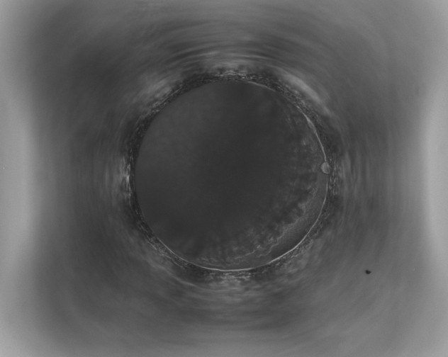X0000112851013200908211256