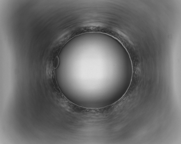 X0000112851014200908211256