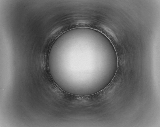 X0000112851015200908211256