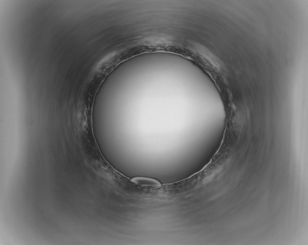 X0000112851016200908211256