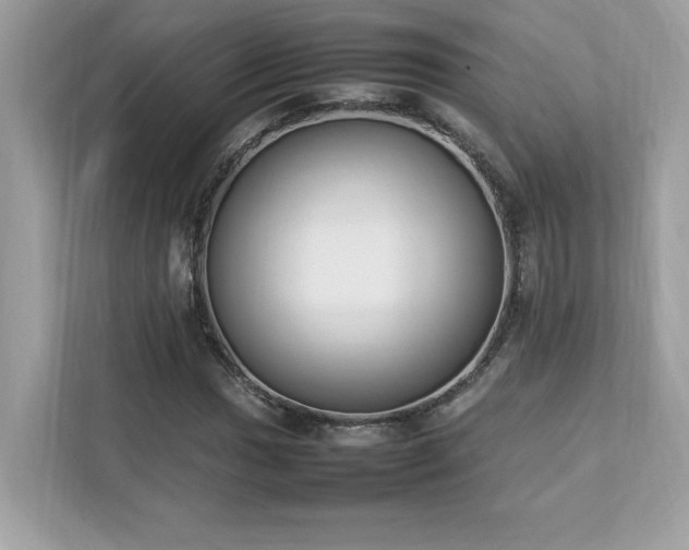 X0000112851017200908211256