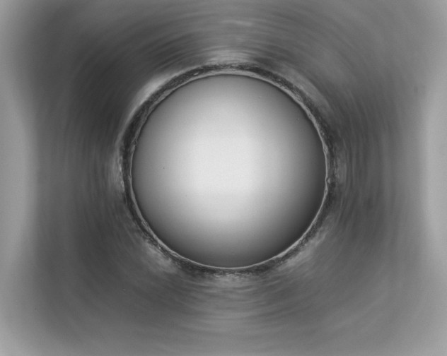 X0000112851022200908211256