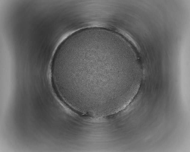 X0000112851024200908211256