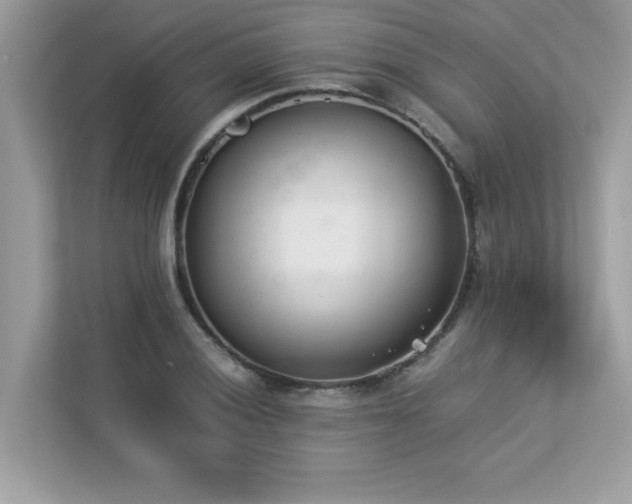 X0000112851028200908211256