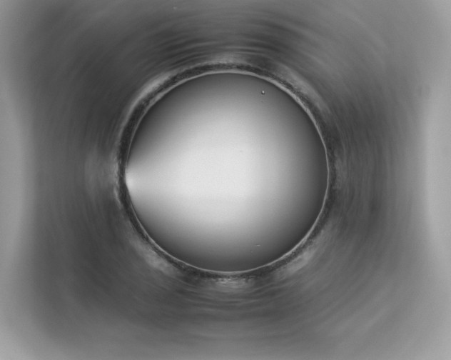 X0000112851029200908211256