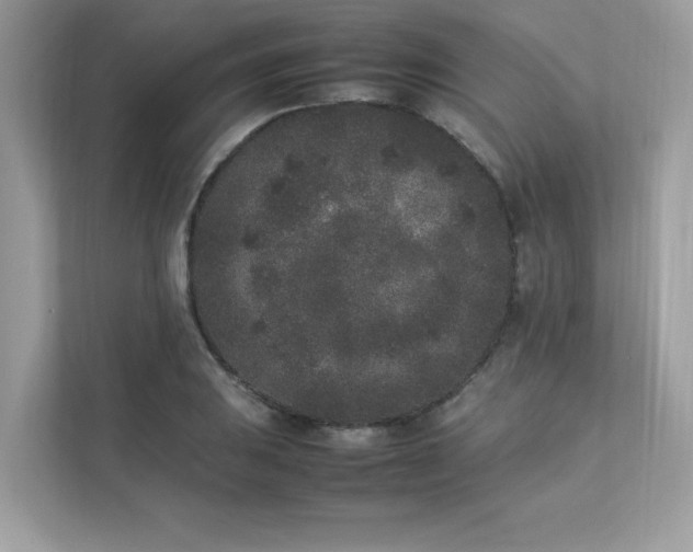 X0000112851031200908211256