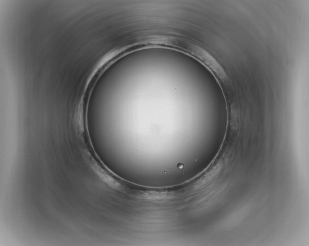 X0000112851036200908211256