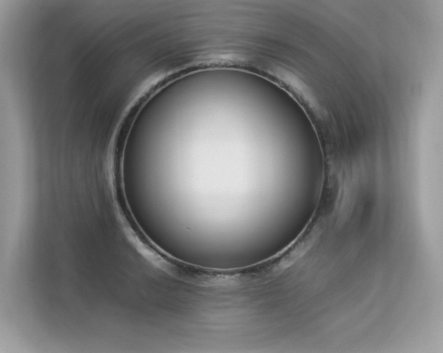 X0000112851038200908211256