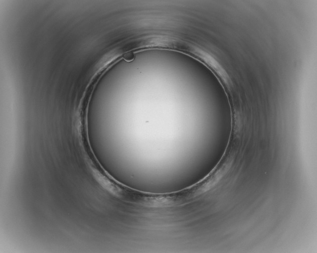 X0000112851042200908211256