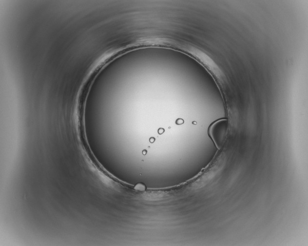 X0000112851046200908211256