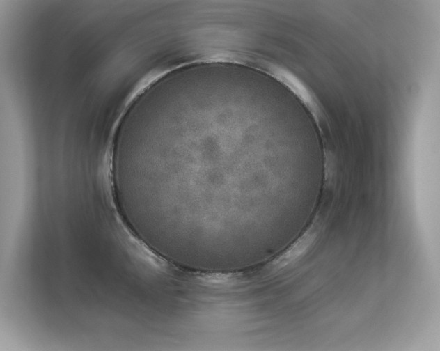 X0000112851048200908211256