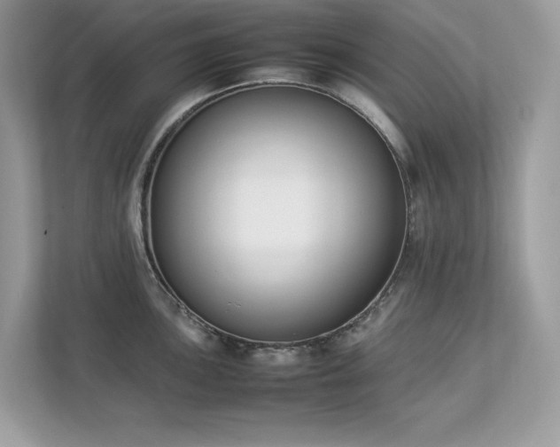 X0000112851051200908211256